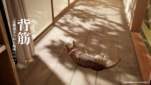 画像ギャラリー No.002のサムネイル画像 / 猫となって古民家を探索し,さまざまな謎の真相に迫る。「まだ猫は逃げますか?」,Steamで本日リリース