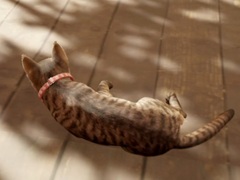 ǭȤʤäƸ̱Ȥõޤޤο롣֤ޤǭƨޤסSteam꡼