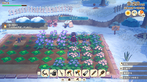 ꡼ No.008 | Ҿʪ Let'sΥɥХסͷɤޤޤݸӤ夢