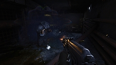 画像ギャラリー No.006のサムネイル画像 / PS5版「S.T.A.L.K.E.R. 2: Heart of Chornobyl」，ゾーンに潜む凶暴なクリーチャー“ミュータント”の情報を公開