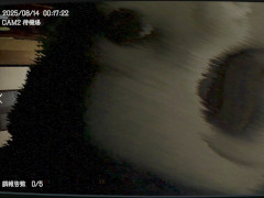 �����ܻ���ʪ��ƻ붨��ס�۩���Ĥ�ʪ��ǥ��٥�Ȥ�Ԥ����Ρְ���-ANNYA-�פ���Ϳ���Ƥ��뤳�Ȥ����餫�ˡ��ºݤλ��ݤ򸵤�����