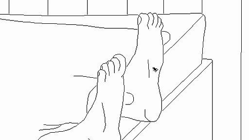 ꡼ No.003Υͥ / ϥṳ̂̿ơ䤿ޤ䤦ADVTime FliesסTGS 2025˻ͷŸTGS2025