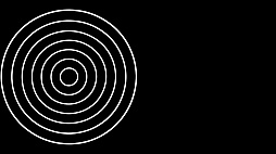 Echo Maze