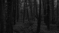 画像ギャラリー No.045のサムネイル画像 / タイムリープモノのサバイバルホラーADV「虧月の夜(きげつのよる)」,Switch向け作品として2026年1月29日に発売決定