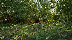 ꡼ No.001 | Forest Doesnt Care