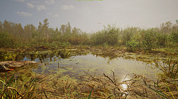 ꡼ No.006 | Forest Doesnt Care