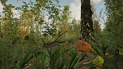 Forest Doesnt Care