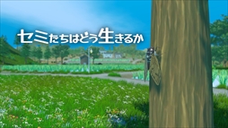 ߤϤɤ뤫