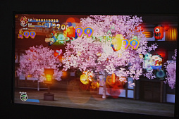 ꡼ No.013Υͥ / ֥åȥ å桼פȡ֥ꥢ3פǡ֡ϥ塼ƥ󥰤β֤TGS2025