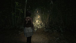 画像ギャラリー No.011のサムネイル画像 / 「零 〜紅い蝶〜 REMAKE」，体験版を3月5日に配信。「SILENT HILL f」とのコラボも決定し，無料DLCで特別衣装が登場