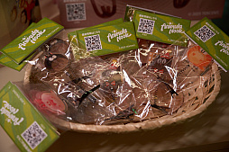 ꡼ No.006Υͥ / ͤȤʤäơ⤫礭餹襷ߥ졼֥ΥɡפŸİ֡ǥå餪TGS2025ϡPR