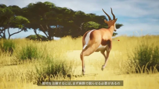 画像ギャラリー No.010のサムネイル画像 / 傷ついた動物を治療するVRゲーム「WILDLIFE DOCTOR」を会場でプレイ。没入感と感情移入を促す工夫が光る意欲作［TGS2025］