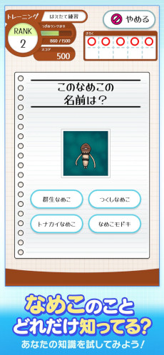 画像ギャラリー No.001のサムネイル画像 / クイズゲーム「なめこドリル」，本日リリース。「なめこ栽培キット」シリーズに登場する，なめこたちに関する問題を解こう