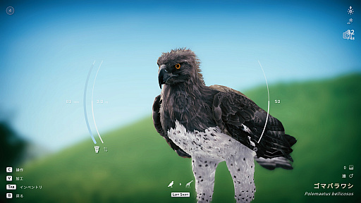 画像ギャラリー No.031のサムネイル画像 / サバンナの風を感じながらただシャッターを切る。野生動物撮影シム「Seclusa」（ほぼ日 インディーPick Up！）