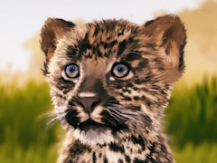 サバンナの風を感じながらただシャッターを切る。野生動物撮影シム「Seclusa」（ほぼ日 インディーPick Up！）