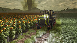 եߥ󥰥ߥ졼ͥ㡼ǥ