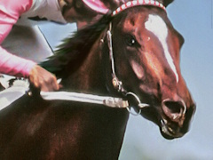 �ں����Υ���١ۡ�Winning Post 10 2026�פ�֥饤�� ���� ���ȥ�� ���˥���פ�ȯ�䤵��� 2026ǯ3��23����3��29��