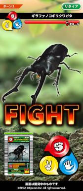 画像ギャラリー No.010のサムネイル画像 / 「甲虫王者ムシキング」を題材としたブロックチェーンゲーム「MUSHInomics with MUSHIKING」，11月上旬にリリース