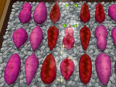 ĴֺäơƤסPC/Switch˥꡼вøȥԡɤռơĤޤξ̤Ƥ