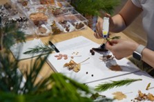 画像ギャラリー No.010のサムネイル画像 / 「あつまれ どうぶつの森」×「東急リゾートタウン蓼科」コラボイベント,4月18日〜7月20日に開催。サカナ釣りやDIYなどを楽しもう