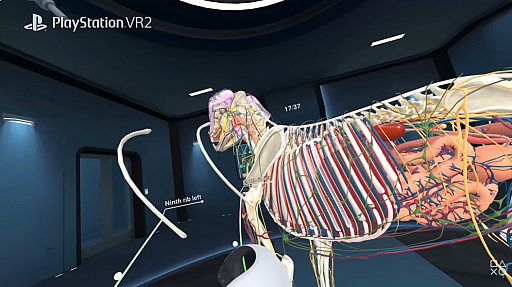 画像ギャラリー No.001のサムネイル画像 / VR解剖学アプリ「Animal Anatomy」，PS VR2とMeta Quest向けにリリース。精細に再現されたモデルで，動物の体をより深く知る