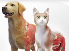 VR��˶�إ��ץ��Animal Anatomy�ס�PS VR2��Meta Quest�����˥�꡼�������٤˺Ƹ����줿��ǥ�ǡ�ưʪ���Τ��꿼���Τ�