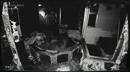 画像ギャラリー No.010のサムネイル画像 / 「日本事故物件監視協会2 -Japan Stigmatized Property-」，Steamストアページを公開。発生する異常を正しく報告する監視業務に従事する