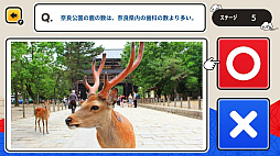 ���¥˥åݥ󡪤����ϾＱ���ߥ�������������vs�����ܡ�2��Ǥ��󤿤󻨳ض���Ʀ�μ��ؽ��ȥ�ӥ���������