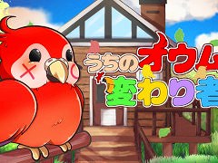 暗号解読ゲーム「うちのオウムは変わり者」,Steamでリリース。オウムたちと話して,それぞれのこだわりを見破ろう