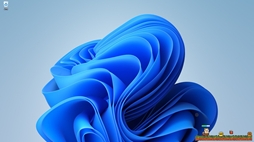 Desktop Pomeranian Fantasy