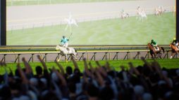 画像ギャラリー No.005のサムネイル画像 / ジョッキー視点でリアルなレース体験が楽しめる「Full Stride」，Steamストアページを公開。新規PVも公開