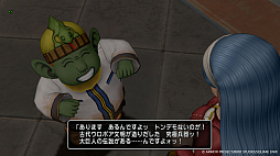 画像ギャラリー No.007のサムネイル画像 / 「ドラゴンクエストX　時空の迷い子たち　オンライン」，砂の王国「ソルベルム王国」と，女王セリーナと王国の騎士団長ハーディオを紹介