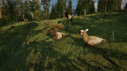 レンジャーズパス：ナショナルパークシミュレーター