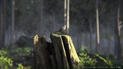 画像ギャラリー No.010のサムネイル画像 / ある噂をきっかけに蒼木ヶ原樹海に足を踏み入れるが……。フルボイスで楽しめるSFサスペンスノベル「樹海迷路」,Steamで配信開始