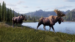 画像ギャラリー No.006のサムネイル画像 / 人気狩猟シムの続編「Way of the Hunter 2」が発表に。アナウンストレイラーが公開され，狩猟犬「ハンティングドッグ」などの新要素が登場