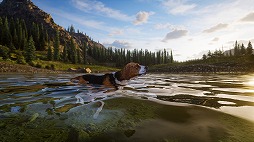 画像ギャラリー No.006のサムネイル画像 / オープンワールド狩猟シム「Way of the Hunter 2」，早期アクセスをSteamで開始。PS5/Xbox Series X|S版の発売も決定