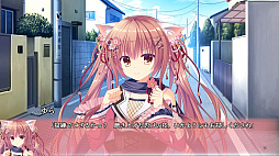 猫忍えくすはーと