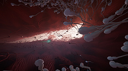 画像ギャラリー No.011のサムネイル画像 / 主人公は精子。ゴールを目指して体内を駆け抜けるアドベンチャーゲーム「Become」が発表，あわせてアナウンストレイラーも公開