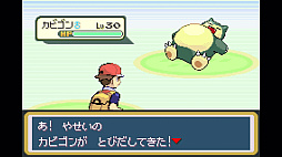 ポケットモンスター リーフグリーン