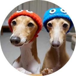 ���������꡼ No.003�Υ���ͥ������ / ̵�����ե饤�󥻥ߥʡ������ܤˤ����륲���ॿ���ȥ�����������ɡ����֥�����ά���饫�����饤���ޤǡ��ס�9��24�����š�������Ͽ�������