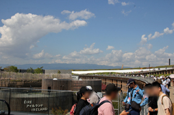 画像ギャラリー No.005のサムネイル画像 / 最高年齢は94歳！ 大阪万博で開催された高齢者向けゲーム大会「GeeSPORTS」は，これからのゲーマー高齢化の受け皿になるか？