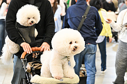 画像ギャラリー No.009のサムネイル画像 / 犬猫のお写真をいっぱい撮っただけでゴメンナサイ! おもしろワンニャンアイテムたくさんの“インターペット2026”