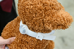 画像ギャラリー No.021のサムネイル画像 / 犬猫のお写真をいっぱい撮っただけでゴメンナサイ! おもしろワンニャンアイテムたくさんの“インターペット2026”