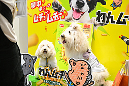 画像ギャラリー No.028のサムネイル画像 / 犬猫のお写真をいっぱい撮っただけでゴメンナサイ! おもしろワンニャンアイテムたくさんの“インターペット2026”