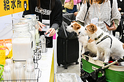 画像ギャラリー No.029のサムネイル画像 / 犬猫のお写真をいっぱい撮っただけでゴメンナサイ! おもしろワンニャンアイテムたくさんの“インターペット2026”