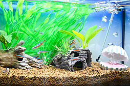 画像ギャラリー No.041のサムネイル画像 / 犬猫のお写真をいっぱい撮っただけでゴメンナサイ! おもしろワンニャンアイテムたくさんの“インターペット2026”