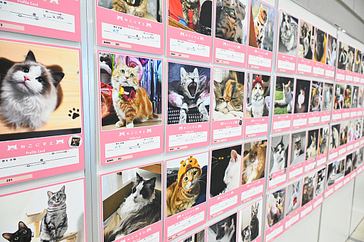 画像ギャラリー No.048のサムネイル画像 / 犬猫のお写真をいっぱい撮っただけでゴメンナサイ! おもしろワンニャンアイテムたくさんの“インターペット2026”