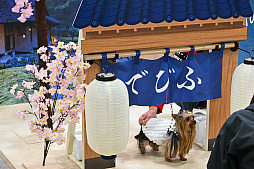 画像ギャラリー No.064のサムネイル画像 / 犬猫のお写真をいっぱい撮っただけでゴメンナサイ! おもしろワンニャンアイテムたくさんの“インターペット2026”