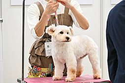 画像ギャラリー No.067のサムネイル画像 / 犬猫のお写真をいっぱい撮っただけでゴメンナサイ! おもしろワンニャンアイテムたくさんの“インターペット2026”