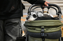 画像ギャラリー No.068のサムネイル画像 / 犬猫のお写真をいっぱい撮っただけでゴメンナサイ! おもしろワンニャンアイテムたくさんの“インターペット2026”